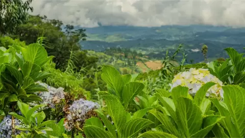 GO Lanka-gallery-Nuwara Eliya-01